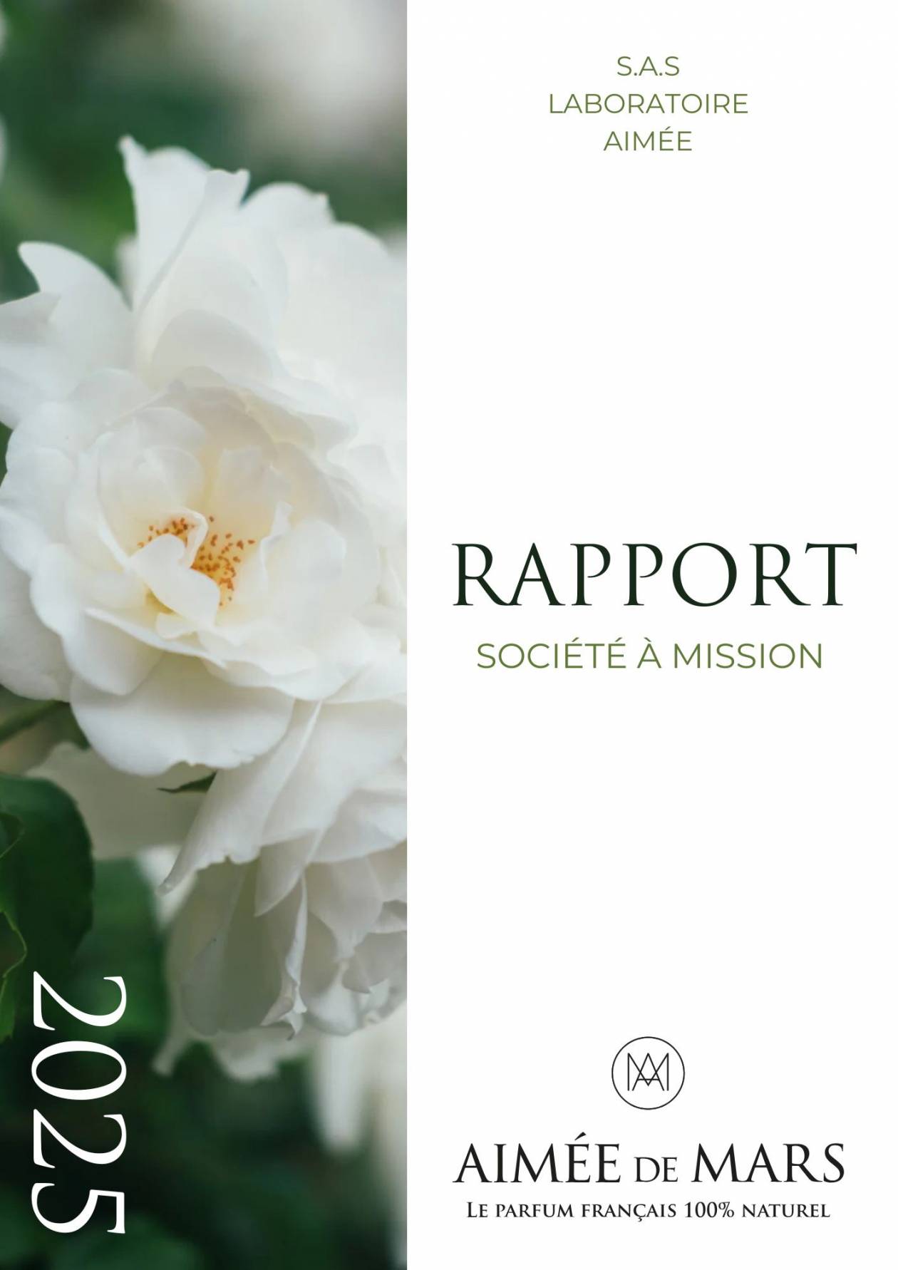 Rapport société à Mission
